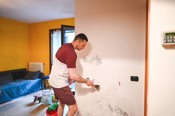 Certified Mold Removal in Chico, TX